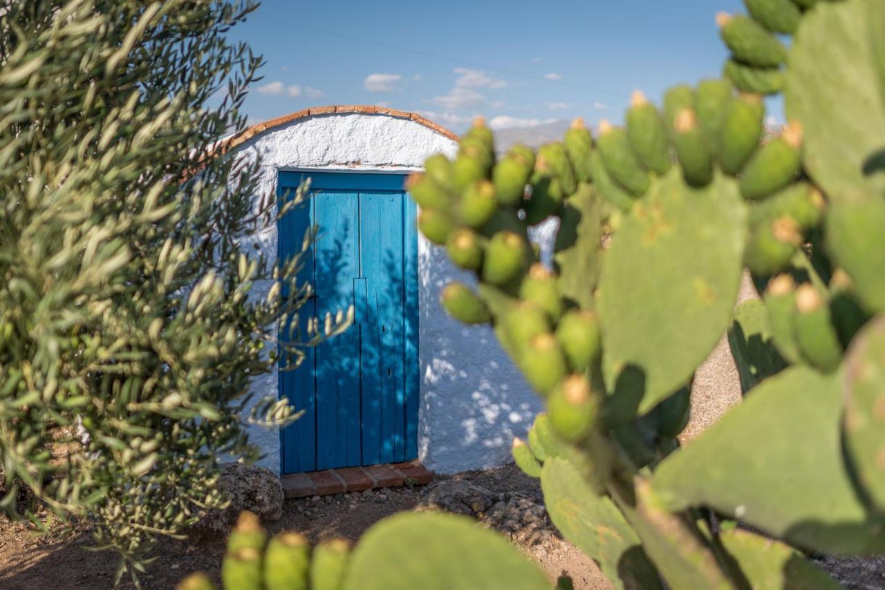 Al Agia - Mirador De Los Quinientos Padul Kültér fotó